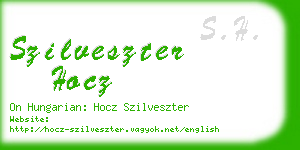 szilveszter hocz business card